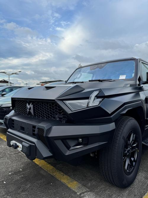 东风猛士917报价及图片,东风猛士suv图片