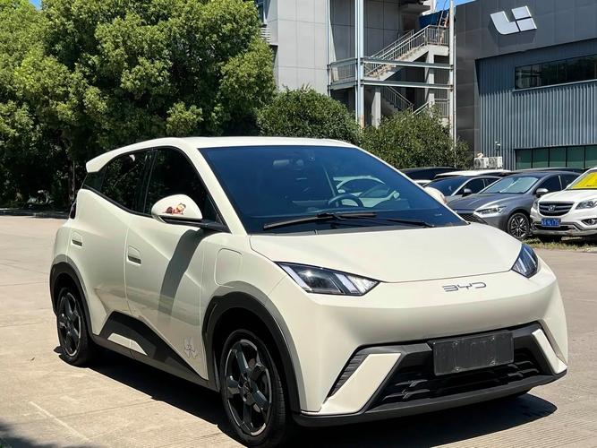 海鸥电动车2023款／海鸥电动车2023款图片