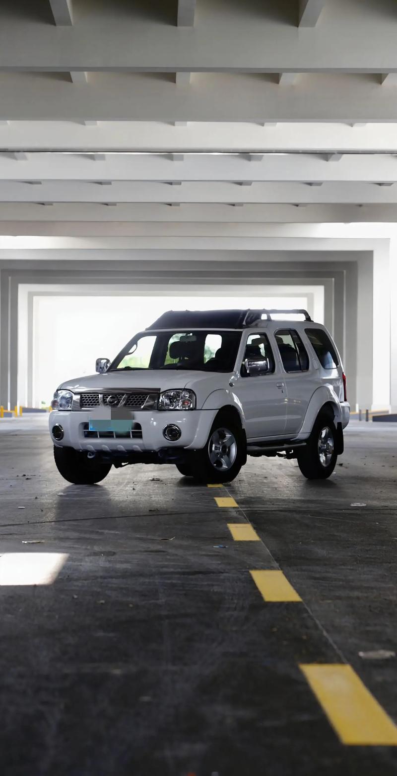 新帕拉丁最新消息新闻 新帕拉丁图片