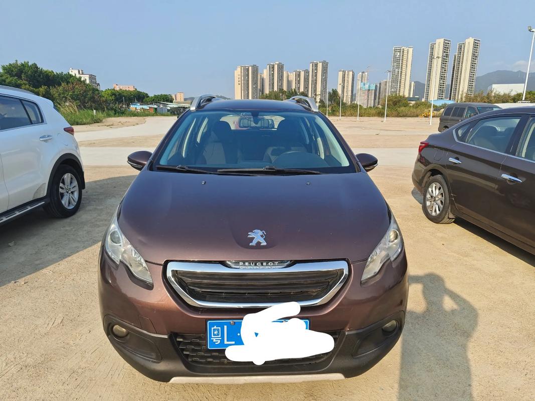 东风标致是合资车还是国产车／东风标致是什么合资车