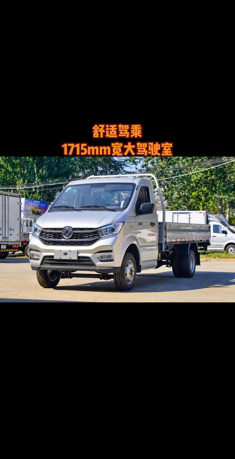 东风单排小货车报价及图片/东风单排10排量小货车